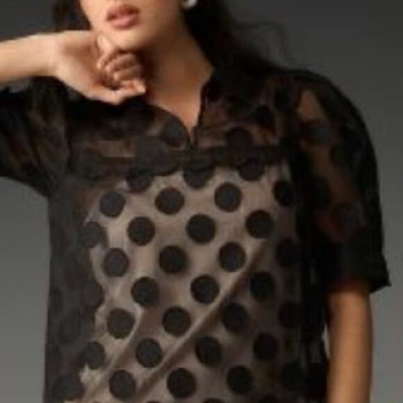 Brand New Maeve Short-Sleeve Sheer Scallop Mini Dress - Picture 5 of 5